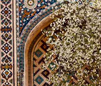 Весенний Узбекистан 5 дней: Все Включено