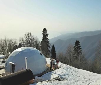 Новогодний тур в Абхазию