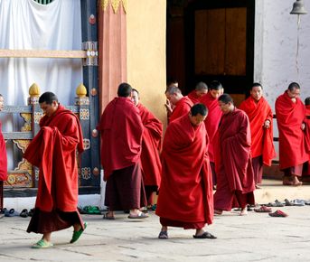 Гималайский дуэт