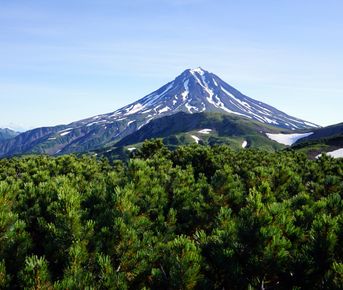 Открытие Камчатки за 10 дней