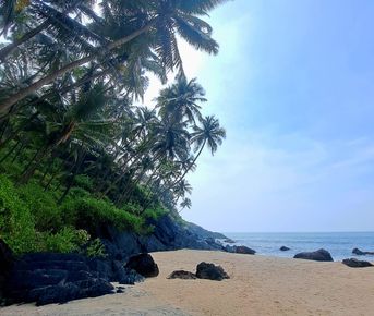 Империи, храмы и тигры Южной Индии + отдых на Гоа