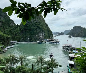 Вьетнам: с севера на юг