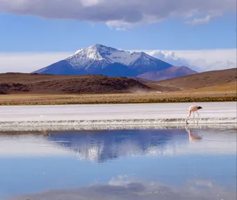 Перу, Боливия, Чили. Большое путешествие по Южной Америке