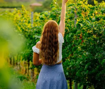 Майские каникулы в Азербайджане / 8 дней 7 ночей