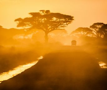 Южная Африка: Избранное. Большое путешествие от Кейптауна до саванны