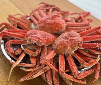 Морская прогулка к заповеднику остров Старичков