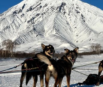 Путешествие в сердце Камчатки  - Быстринский и Мильковский районы