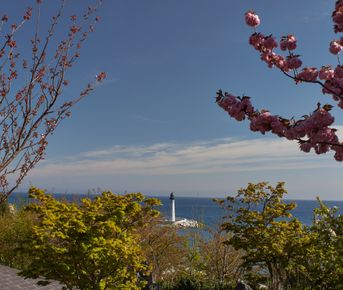 Южный берег Крыма.