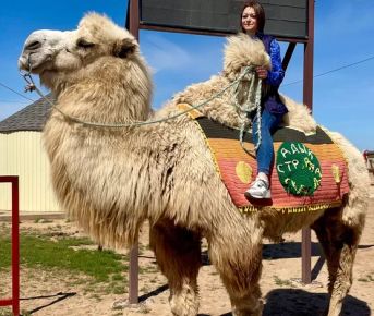 Калмыкия Фестиваль тюльпанов