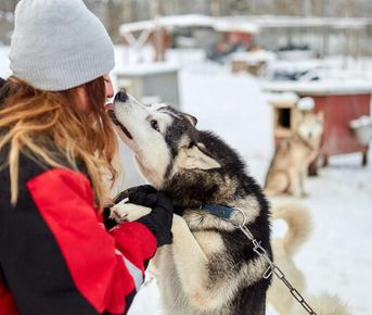 Февральская симфония в Карелии