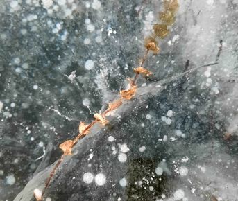 В поисках первого льда