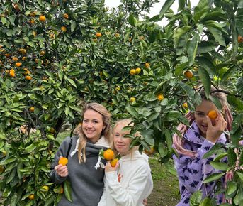 Тур по лучшим местам Сочи и Абхазии
