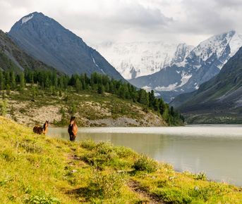 К подножью Белухи