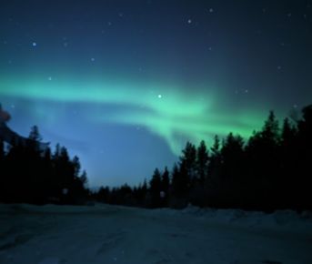 Кольский в гости к китам