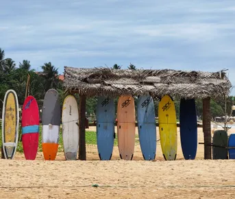 Шри-Ланка: Полное Погружение