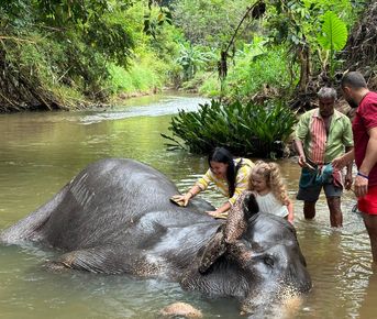 Сокровища Шри-Ланки (2-х дневная экскурсия)