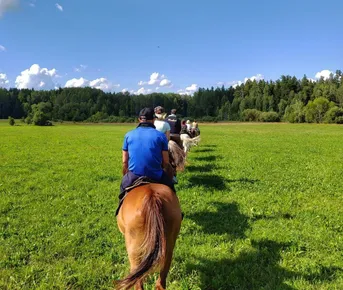 Конный тур + музей архитектуры и быта + обед в таверне