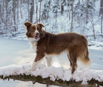 Весенний Сплав + Поход по реке Илеть с проживанием в доме!