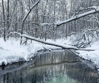 Зимний Гастрономический по р. Илеть, Марий Эл.