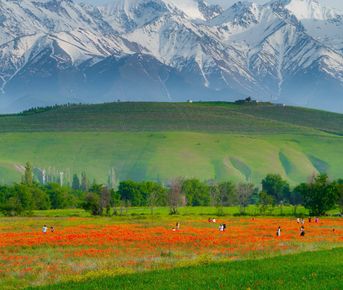 Кыргызстан за 4 дня - программа максимум!