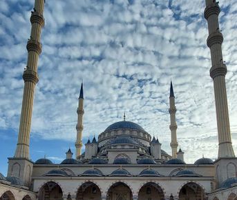 Грозный Шали Аргун