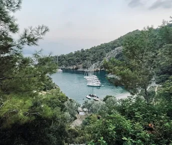 Побег в море от оливье и телевизора