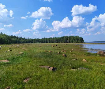 Сплав по реке Калга с выходом в Белое море
