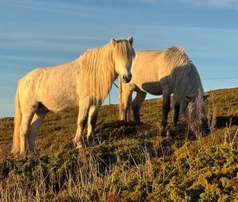 Сокровища Терского берега