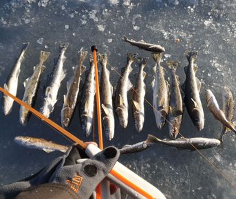 Зимняя подледная рыбалка