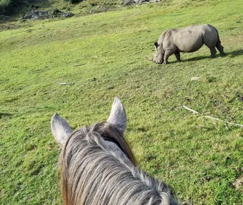 Конный Тур в Юар по Дороге Садов  Индивидуальный Тур