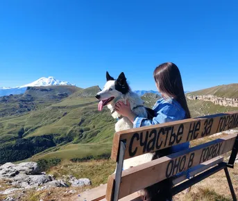 Индивидуальный тур на плато Бермамыт в компании собаки Панды