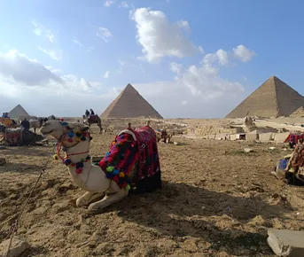 Тайны Древнего Египта: Хургада, Луксор, Каир, Александрия, Шарм-эль-Шейх