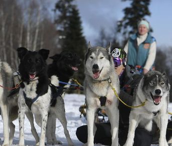 Заснеженное Плато Лаго-Наки+катание в упряжке с Хаски+термальные источники