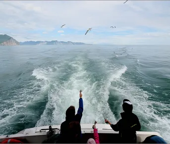 Летний тур на Камчатку 7 дней