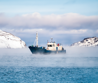 Кольский Weekend: Териберка с выходом в море