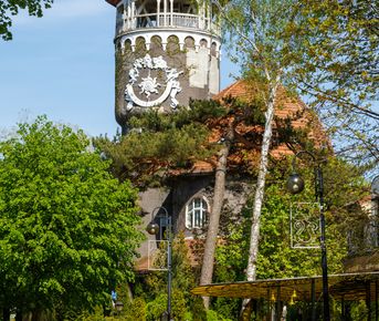 Экскурсия в Светлогорск и замок Шаакен