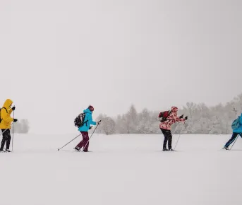 Лыжные тренировки в Санкт-Петербурге. Базовый уровень