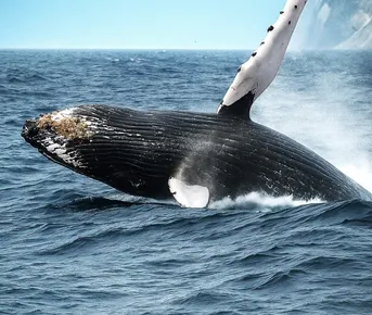 Эффект Камчатки: самые яркие локации!