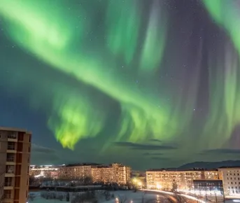 Зимний Кольский за 7 дней — всё включено! От северного сияния до китов и ледоколов
