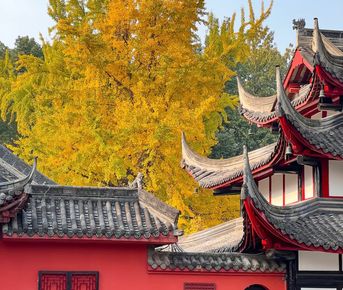 Самобытный Китай. Панды в Чэнду, Небоскребы в Чунцине и Горы Аватара