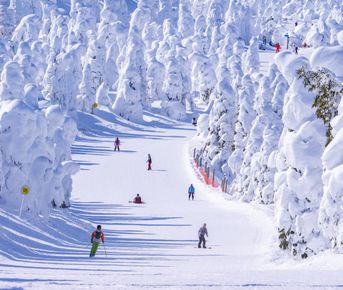 Незабываемое Путешествие в волшебную японскую сказку Снежных монстров, Горы + Токио