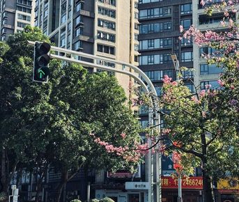 Авторский фототур По следам Брюса Ли