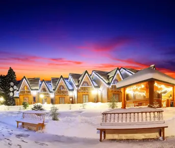 Большой Новогодний Тур На Алтай-2026