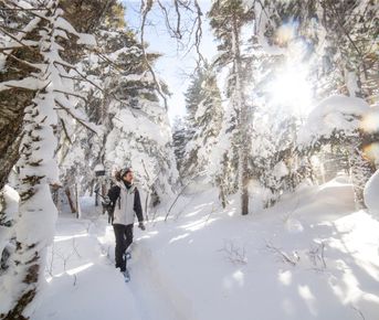 Мультиактив в горах