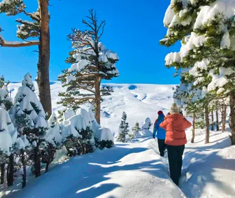 Активная зима