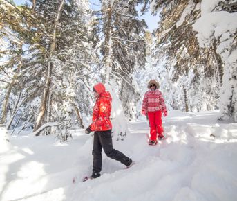 Мультиактив в горах