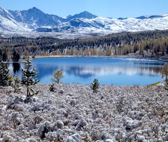 Очарование зимнего Алтая
