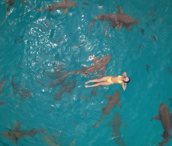 Мальдивы морской-сафари тур