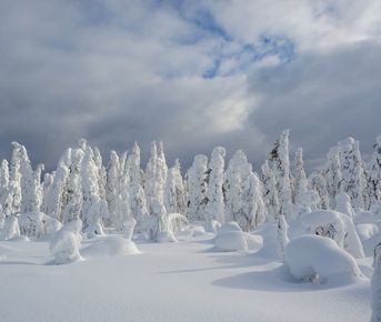 Тайны Пармы. Зимняя симфония Пермского края