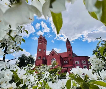 Увидеть всю Беларусь